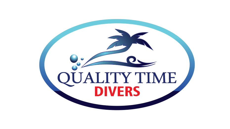 quality time divers logo